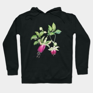 Fuchsia Hoodie